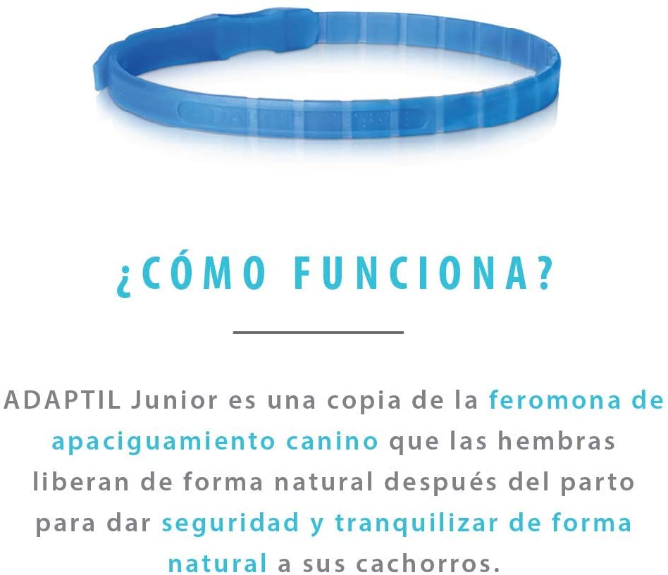  ADAPTIL Junior - Antiestrés para cachorros - Adaptación al hogar, Aprendizaje, Educación, Lloros, Quedarse solo - Collar para Cachorros 