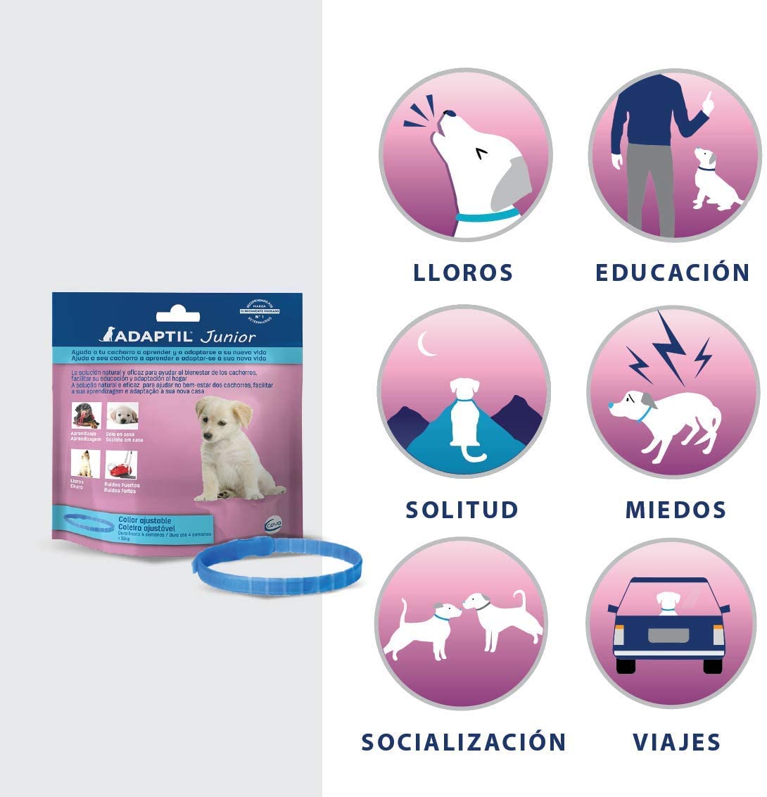  ADAPTIL Junior - Antiestrés para cachorros - Adaptación al hogar, Aprendizaje, Educación, Lloros, Quedarse solo - Collar para Cachorros 