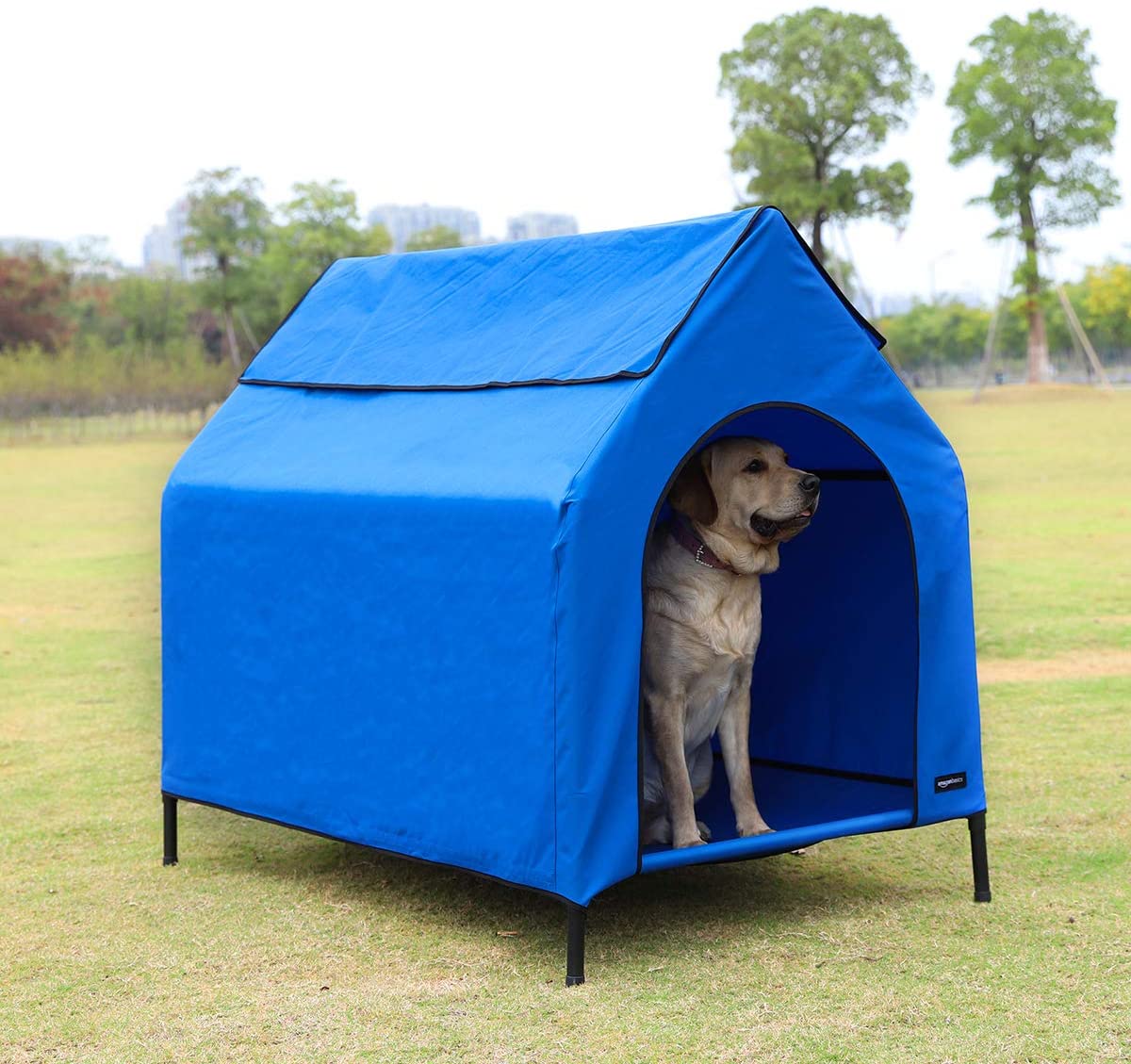  AmazonBasics - Caseta para mascotas, elevada, portátil, grande, azul 