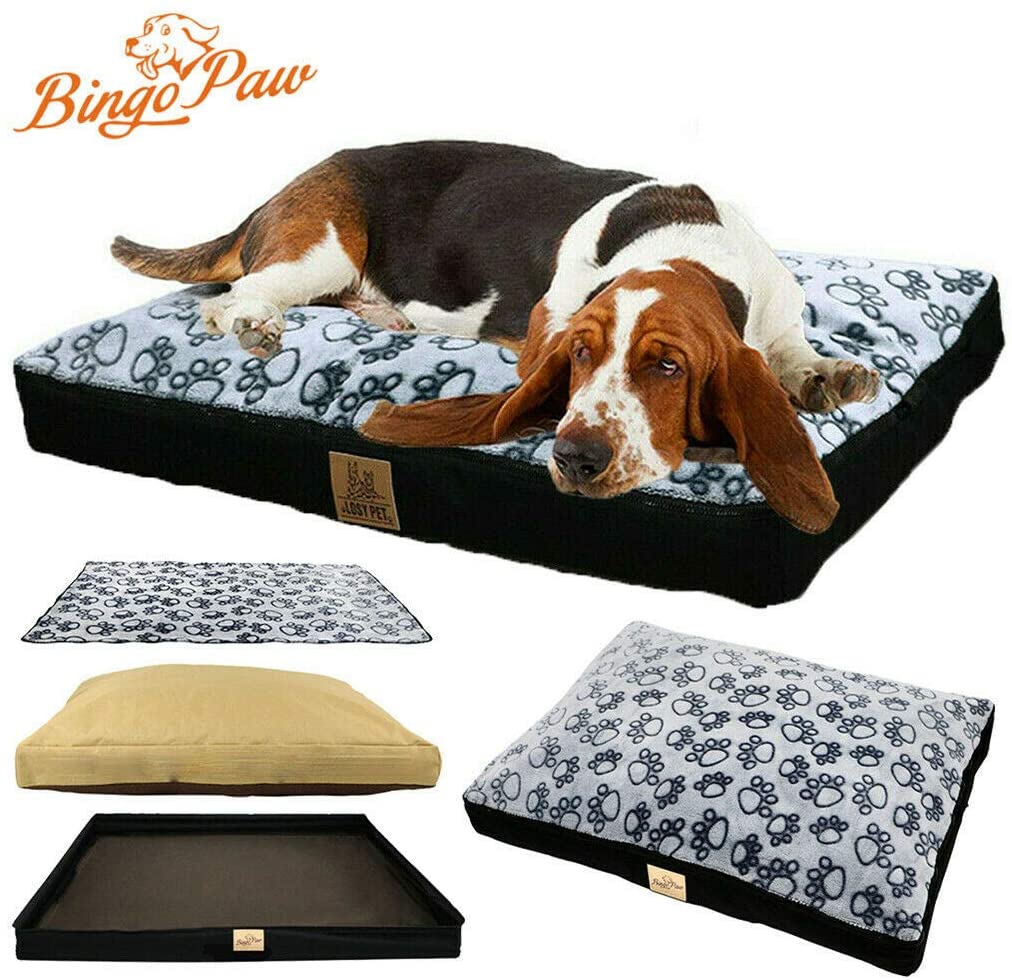  BingoPaw Cama para Perro Impermeable y Lavable 80 x 60 x 8cm Cómoda Sofá con Cojín Desmontable Cama Suave para Macotas Perros Gatos Tamaño L 