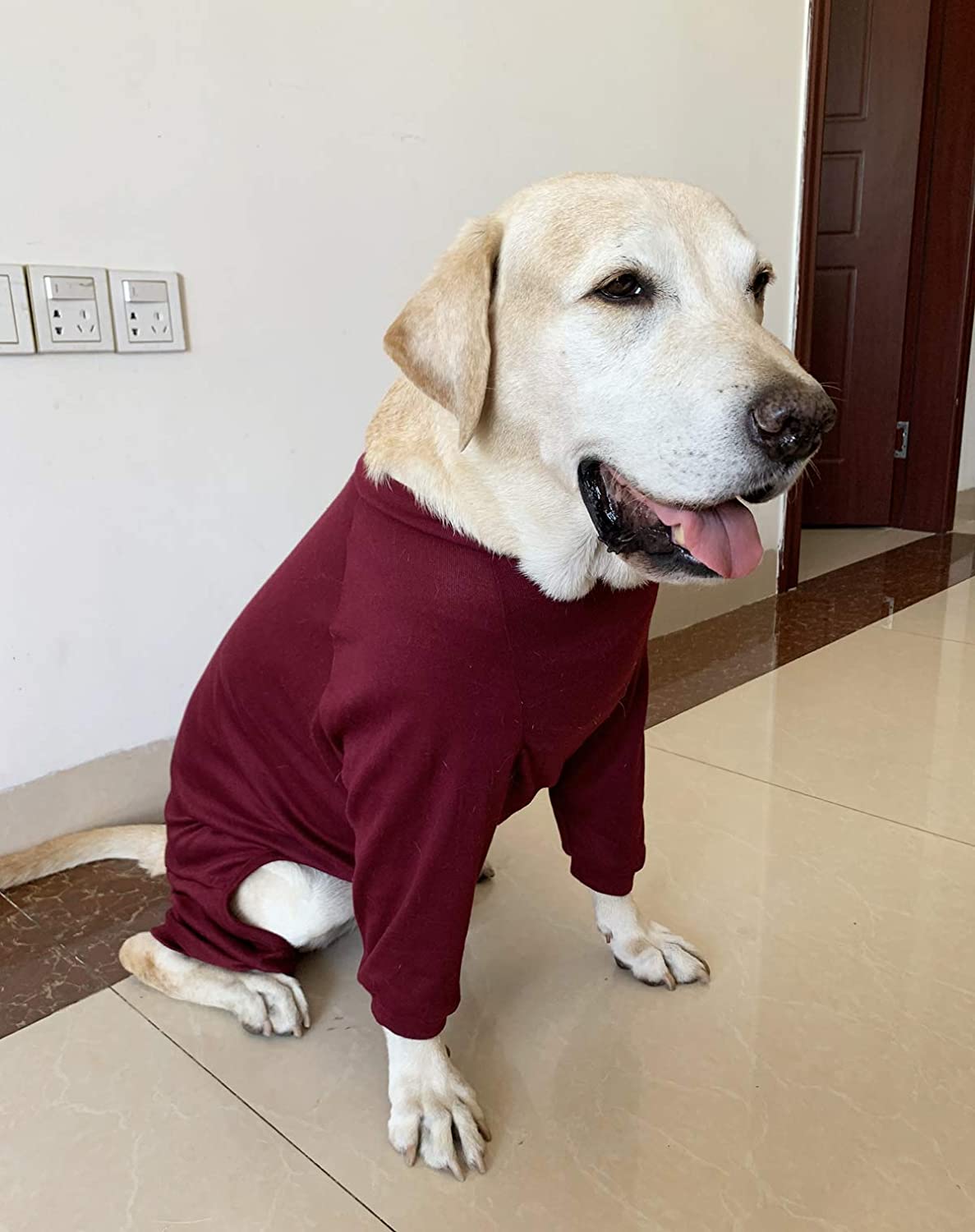  BT Bear - Pijama para Perro con diseño de Oso de Peluche y protección para Las articulaciones, antipelo, elástico con Cuatro Patas, para Perros medianos, Grandes, Labrador, Golden Retriever Samoyed 