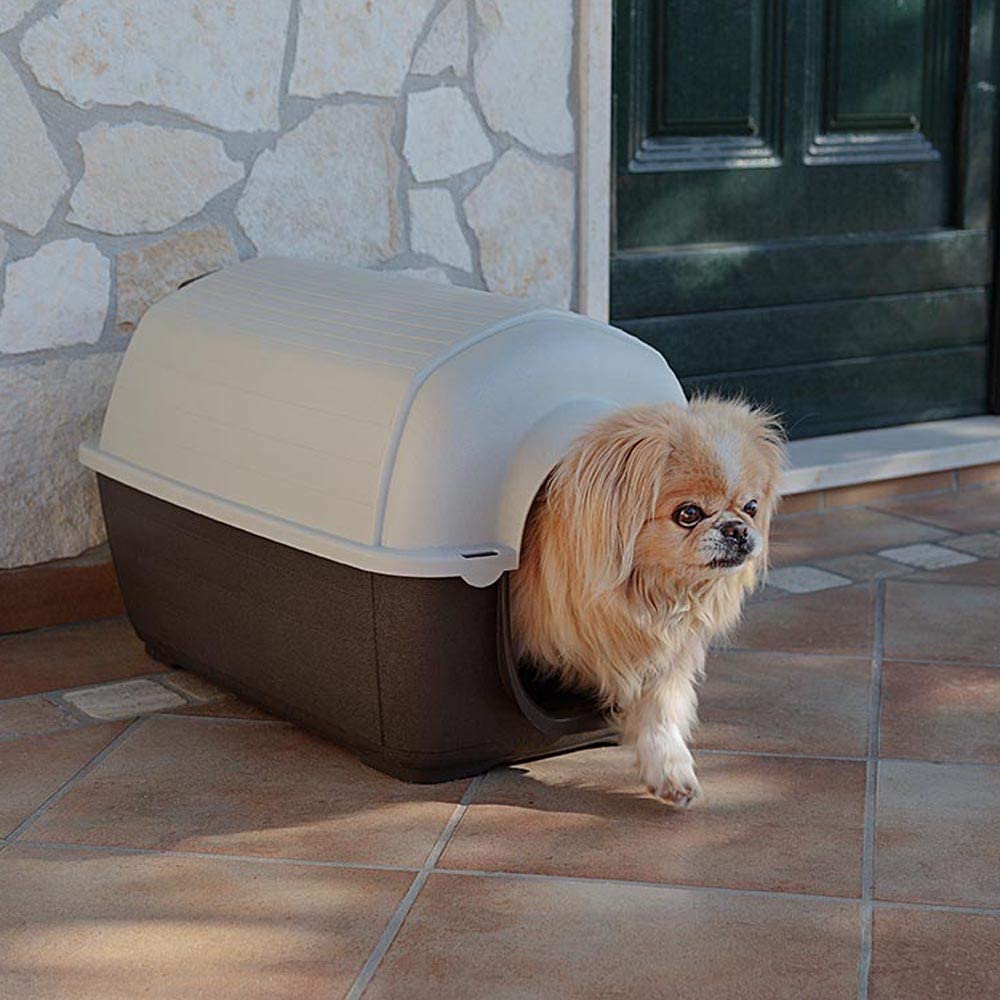  Ferplast Caseta de Exterior para Perros Kenny Mini, Resina termoplástica Resistente a los Golpes y a los Rayos UV, Sistema de Drenaje de líquidos, Rejilla de ventilación, 40 x 66 x h 40 cm 