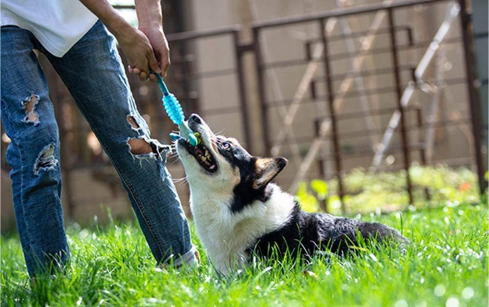  MUROAD 3 Piezas Juguetes con Sonido para Perros, Duradero Juguetes para Morder TPR y Peluche para Perros Pequeños y Medianos 