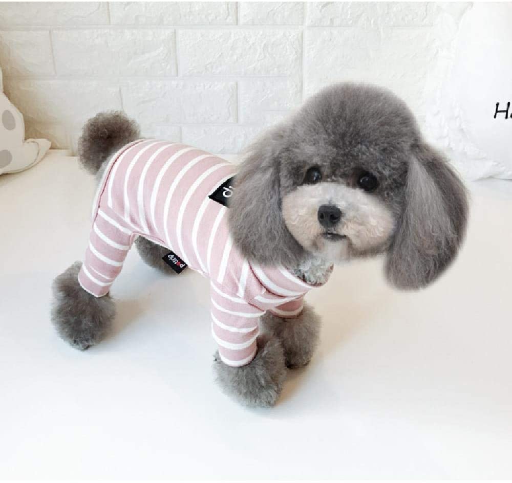  nobrand Ropa de Peluche, Ropa para Perros, Ropa para Perros, Ropa para Perros de Cuatro Patas, Ropa para Mascotas, Medias de Perro, Ropa para Gatos, otoño e Invierno. 