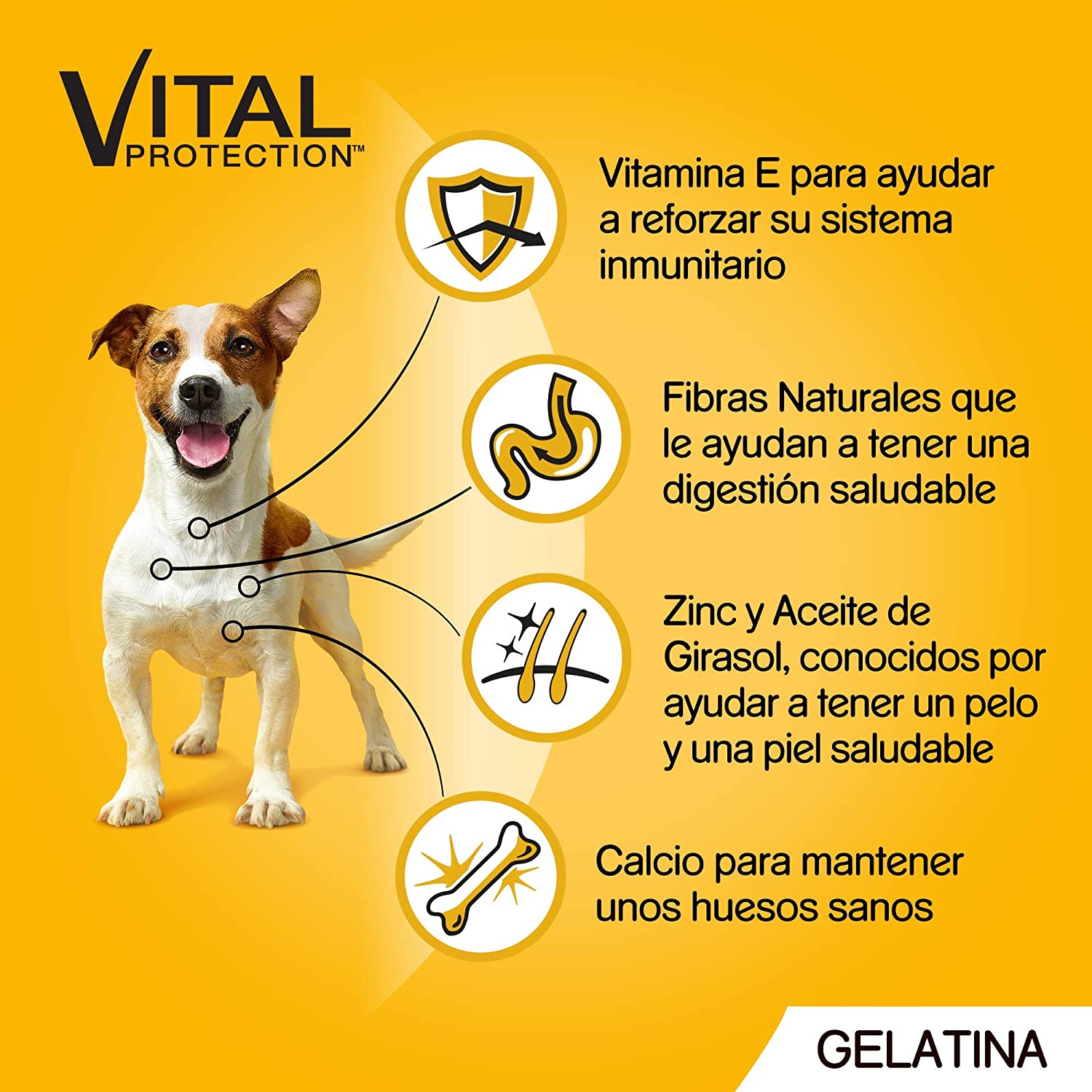  Pedigree Multipack de 4 bolsitas de 100g para perros adultos de Pollo y Cordero (Pack de 13) 