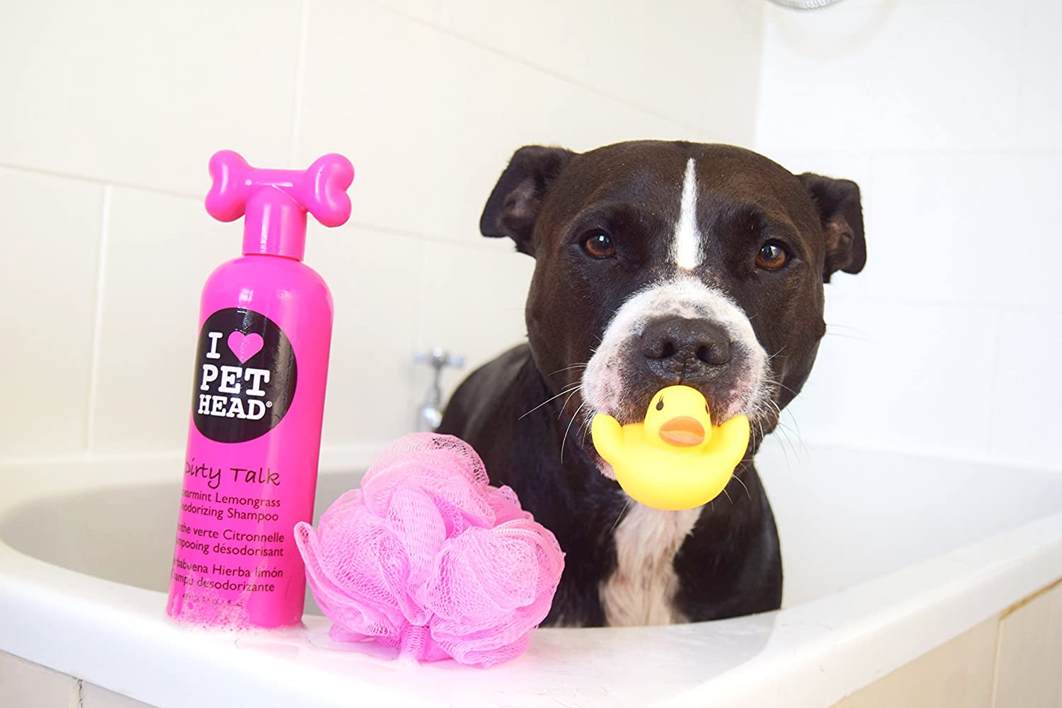  Pet Head Life'S An Itch Soothing Shampoo 