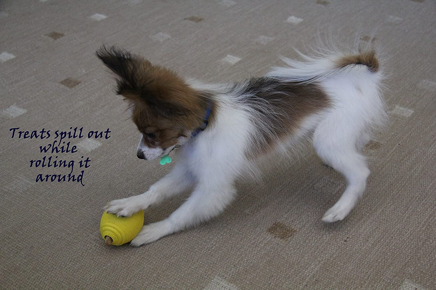  PlayfulSpirit Pelota de Rugby de Recompensas para Cachorros y Perros: Dispensador de Comida, Increíble Destructor del Aburrimiento de Mascota y Divertido Juguete de Entrenamiento Básico para Cachorros 