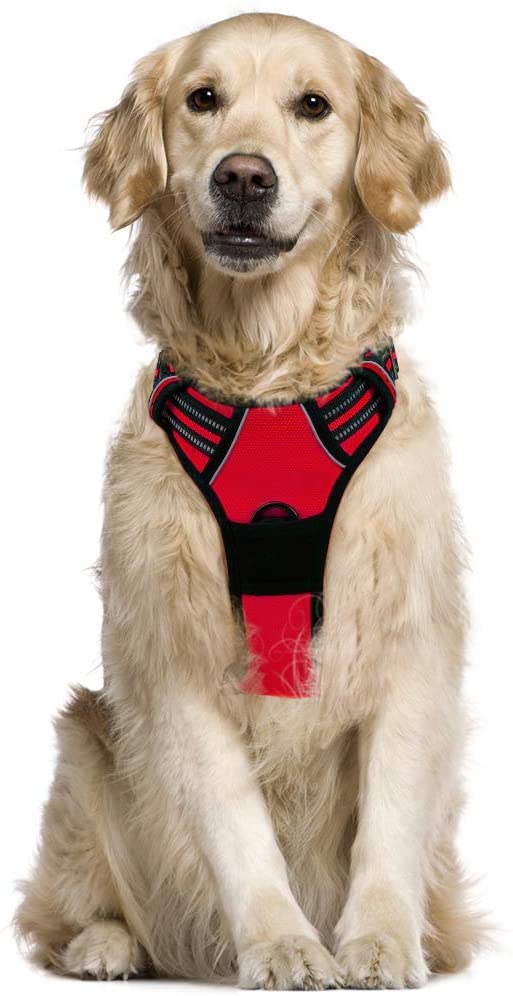  rabbitgoo Arnés Pecho Grande Perro Arnés Rojo para Perro Grande Chaleco Acolchado Mascota Correas Reflectores Mejor Seguridad Color Rojo Tamaño L Grande 