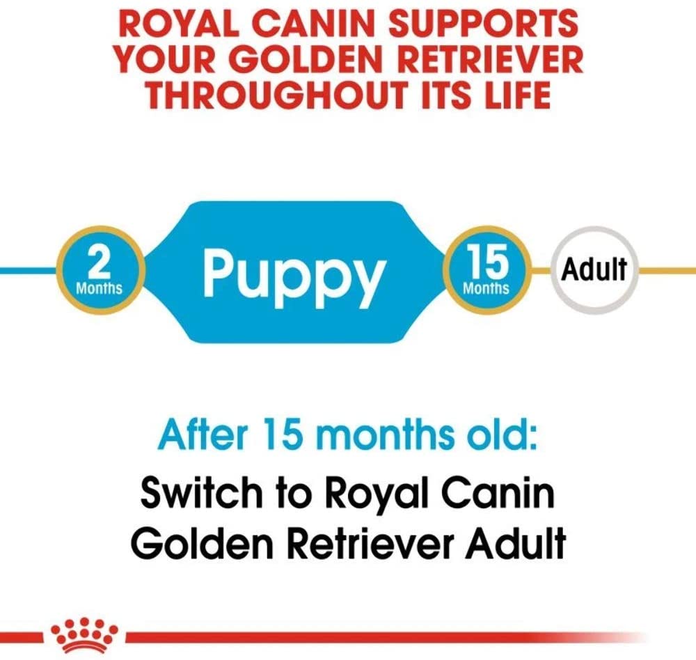  Royal Canin C-08997 S.H Golden Retriever Junior - 12 Kg 