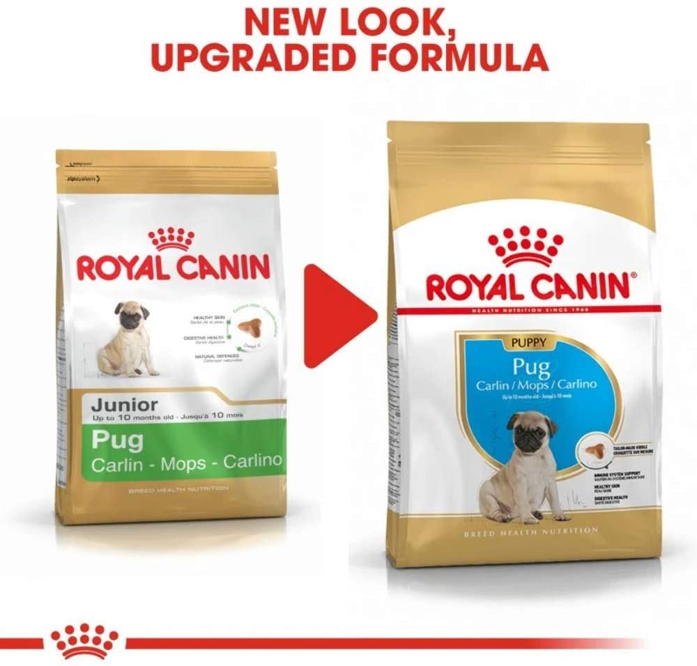  Royal canin carlino junior pienso para carlino joven 