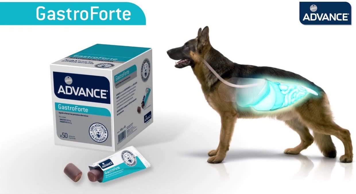  Advance Suplemento Nutricional para Perros Dermaforte - 200 gr 