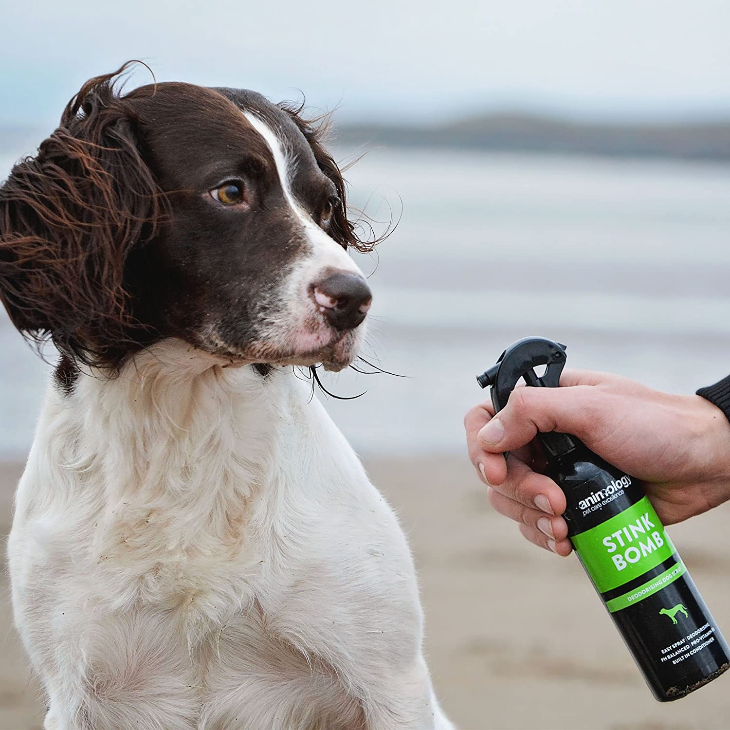  Animology Desodorante en Aerosol Mantener Frescos a los Cachorros 