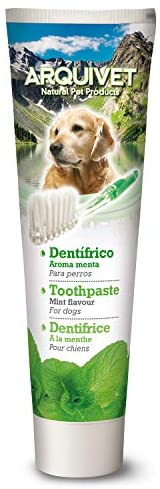  Arquivet Dentífrico para Perros Menta - 100 g 