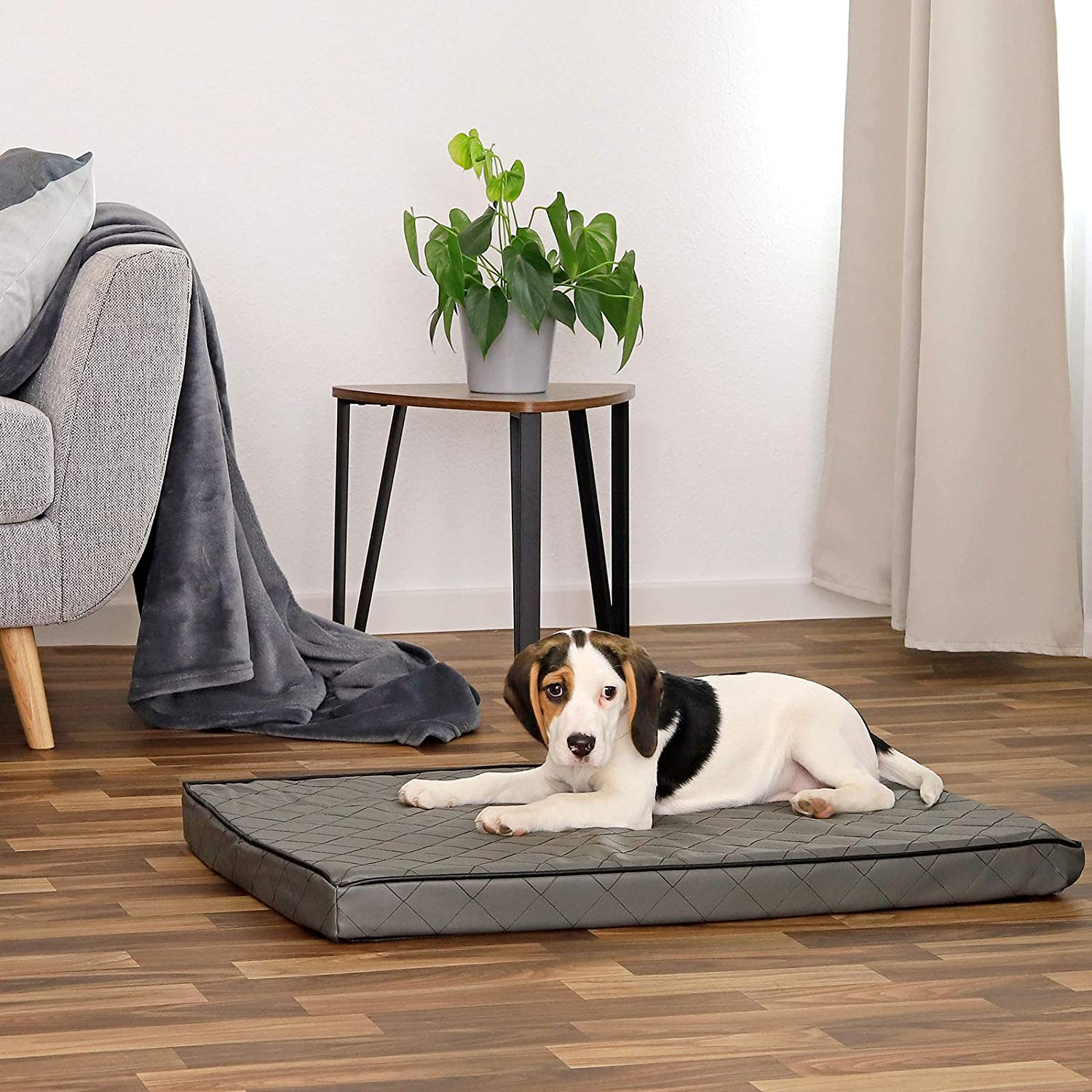  Dibea DB00781 - Esterilla ortopédica para Perros, 80 x 55 cm, cojín para Perros con Espuma viscoelástica, Cama para Perros de Piel sintética con Acolchado láser de Rombos, M 