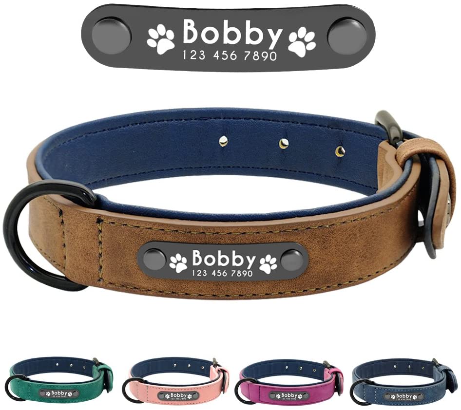  Didog - Collar de piel suave acolchada personalizable para perro, chapa de nombre, anillo en D, collar grabado para perro, tamaños pequeño, mediano y grande 