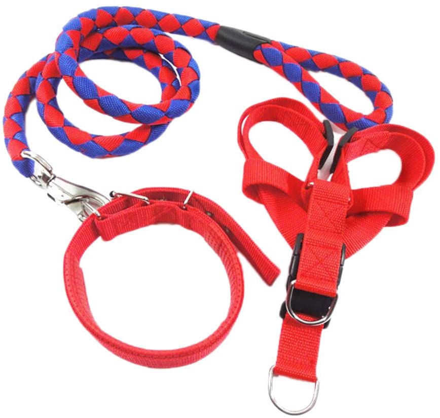  Diyafas Nylon Tejido Perro Correa Collar Arnés de Pecho 3 Set Entrenamiento de Mascotas Correas Perros Pequeños Medianos y Grandes 