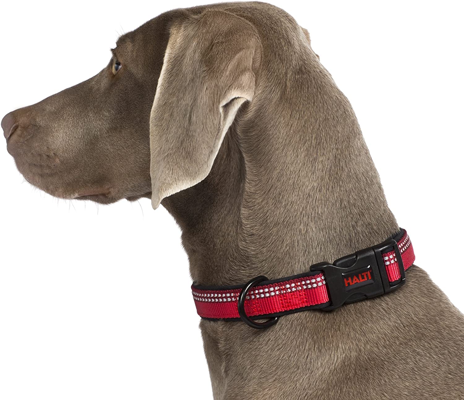  Halti Collar (18" - 26") 