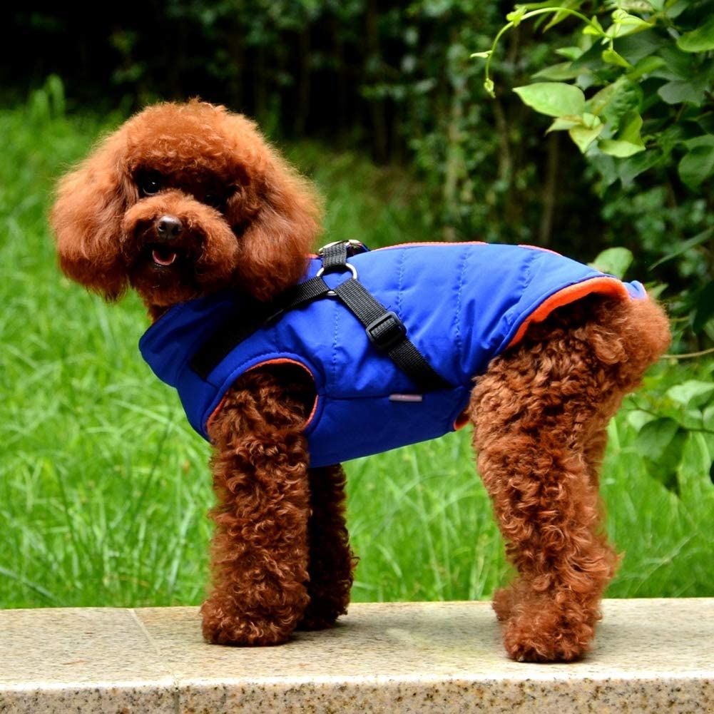  Handfly Chaqueta de Abrigo para Perros con arnés para Perros pequeños y medianos Chaqueta de Abrigo para Perros a Prueba de Agua Chaleco Acolchado cálido Mascota Cachorro de Perro Ropa Chaleco 