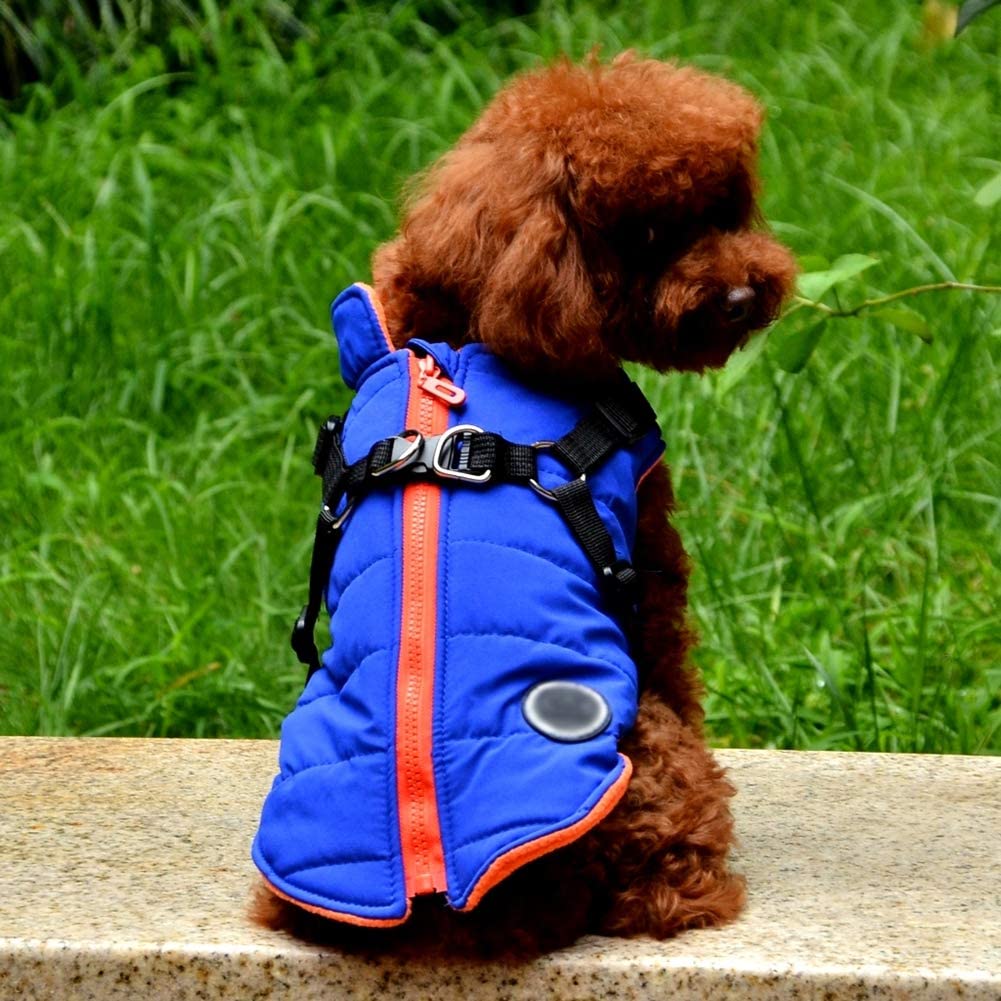  Handfly Chaqueta de Abrigo para Perros con arnés para Perros pequeños y medianos Chaqueta de Abrigo para Perros a Prueba de Agua Chaleco Acolchado cálido Mascota Cachorro de Perro Ropa Chaleco 