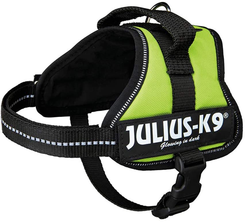  Julius K9 162KW-MM K9-Powerharness, Mini - Mini XS, Kiwi 