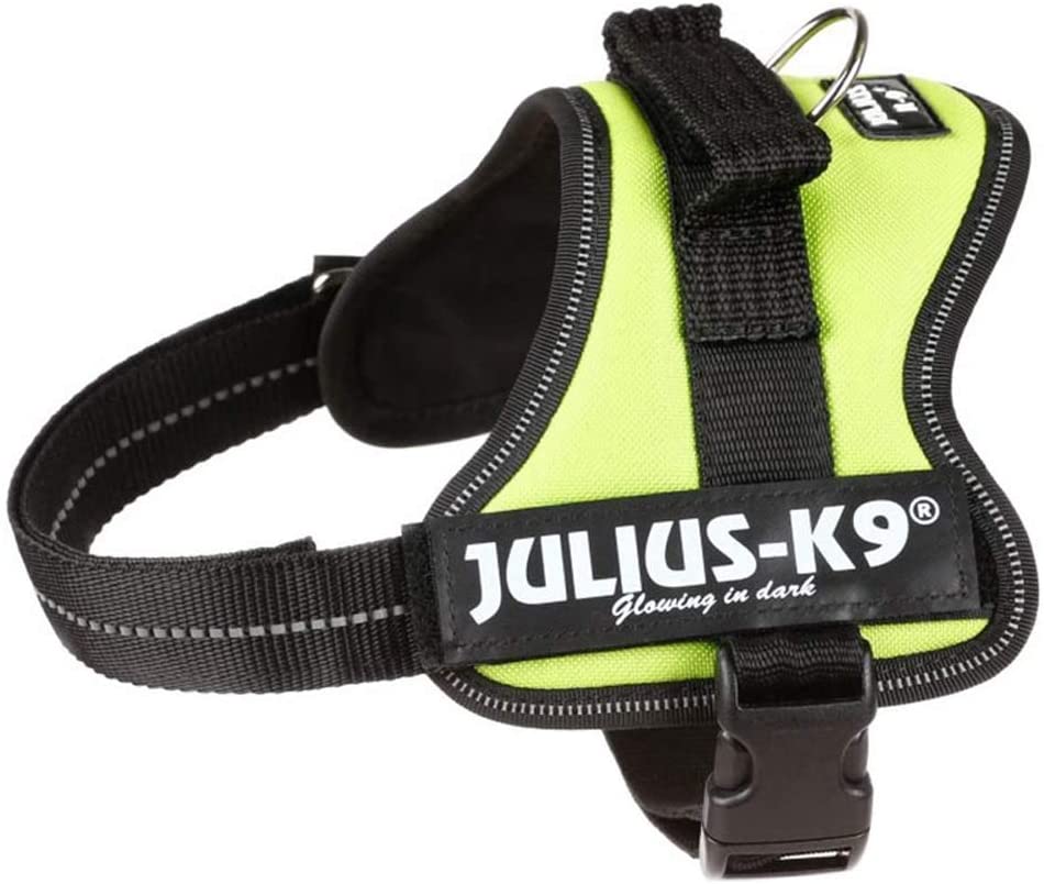  Julius K9 162KW-MM K9-Powerharness, Mini - Mini XS, Kiwi 