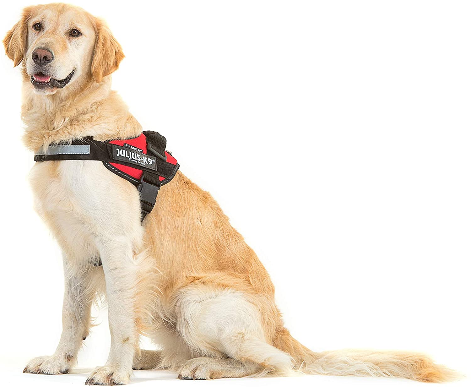  Julius-K9 16IDC - Power Harness 