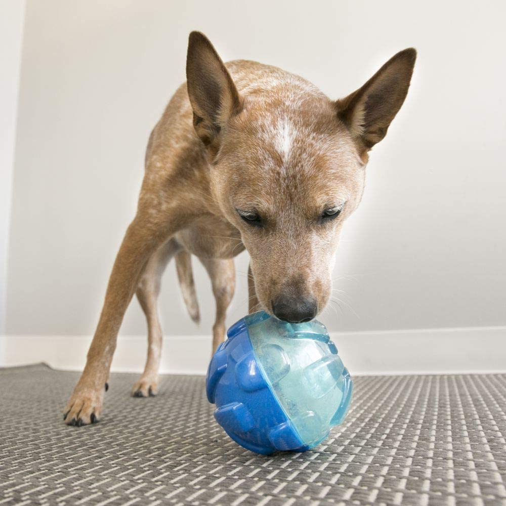  KONG recompensa Bola Grande Tratamiento dispensador Perro Juguete 