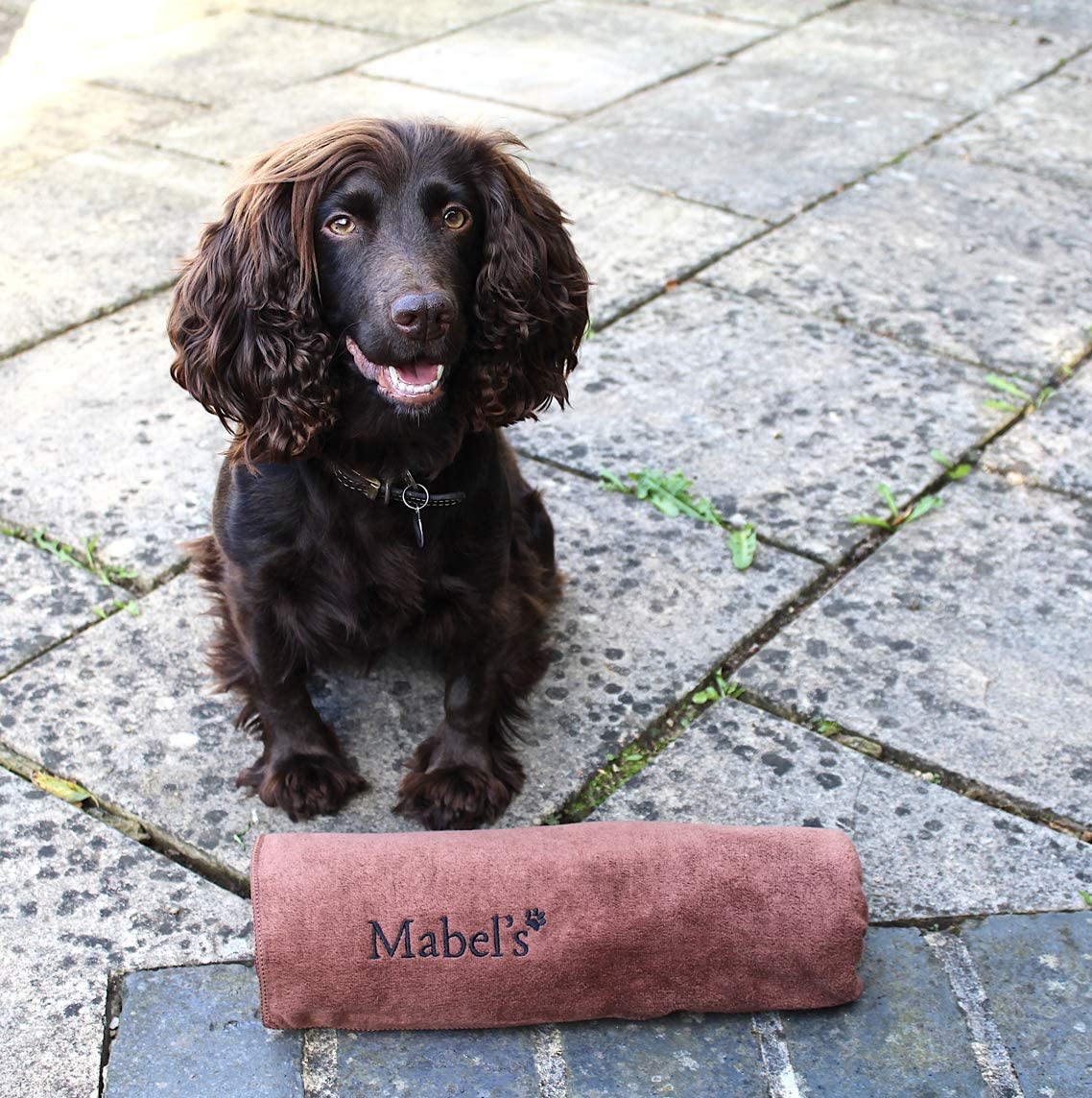  Mabel's® Toalla de Perro - Toallas de Baño Super Suave y Absorbente para Perros y Mascotas. De Gran Tamaño, Secado Rápido y Duradero. Hecho con Amor. (Azul) 