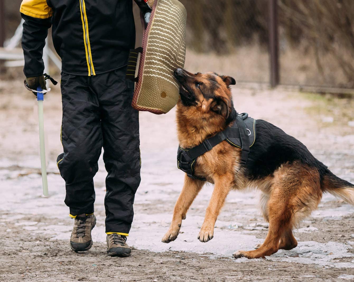  MelkTemn Set de Entrenamiento de Perros, Entrenamiento de Mascotas Mordedura de Cachorros, Entrenamiento De Mordeduras De Perros Manga De Protección para Perro Joven o Adulto Manga 