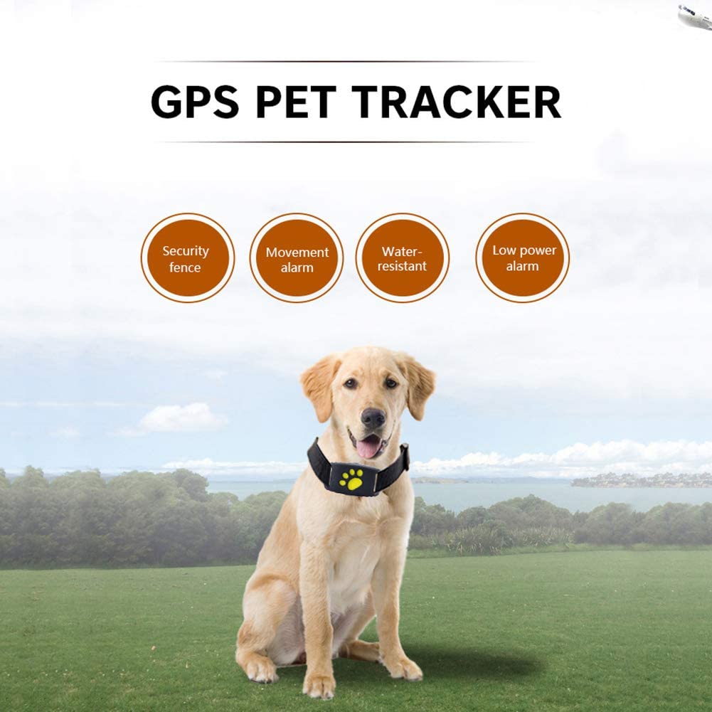  Mini rastreador de GPS para mascotas Collar rastreador de actividad para perros y gatos Posicionamiento del dispositivo anti-perdido Buscador de localizadores en tiempo real Impermeable Negro 