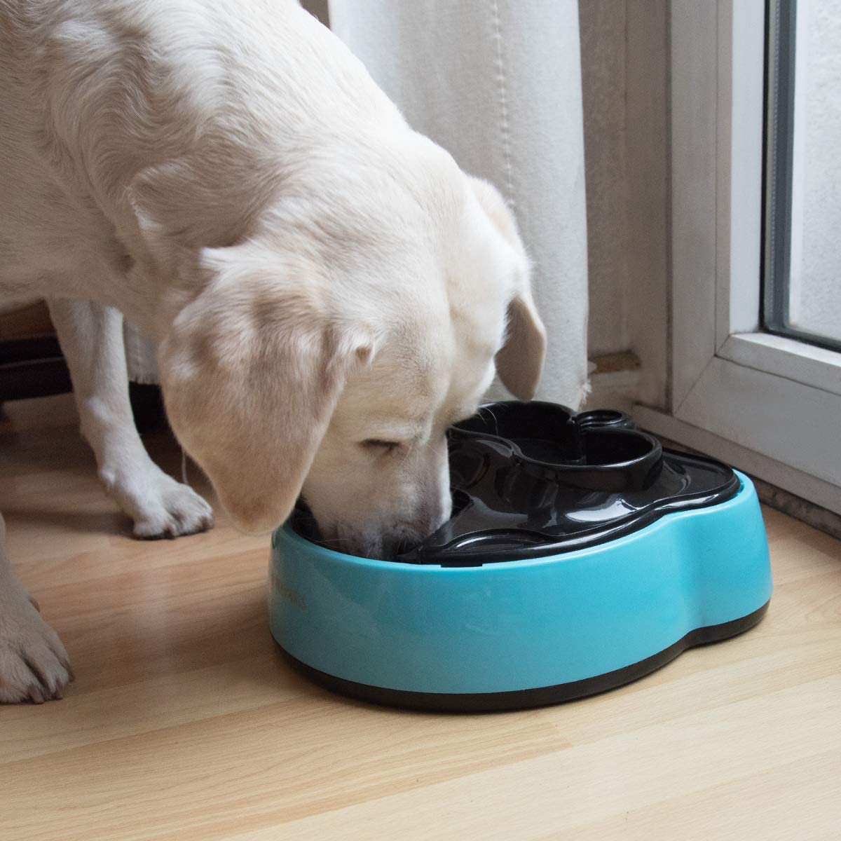  Navaris Dispensador automático de Comida para Perro con Bebedero - Comedero para Perros y Gatos con 4 compartimientos - Dispensador de croquetas 