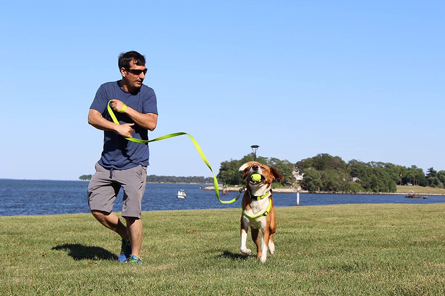  Pawtitas Correa para Perros Correa para Cachorros de 1.80 m Comoda Ideal para Razas Muy pequeñas y pequeñas Correa de Entrenamiento Turquesa 