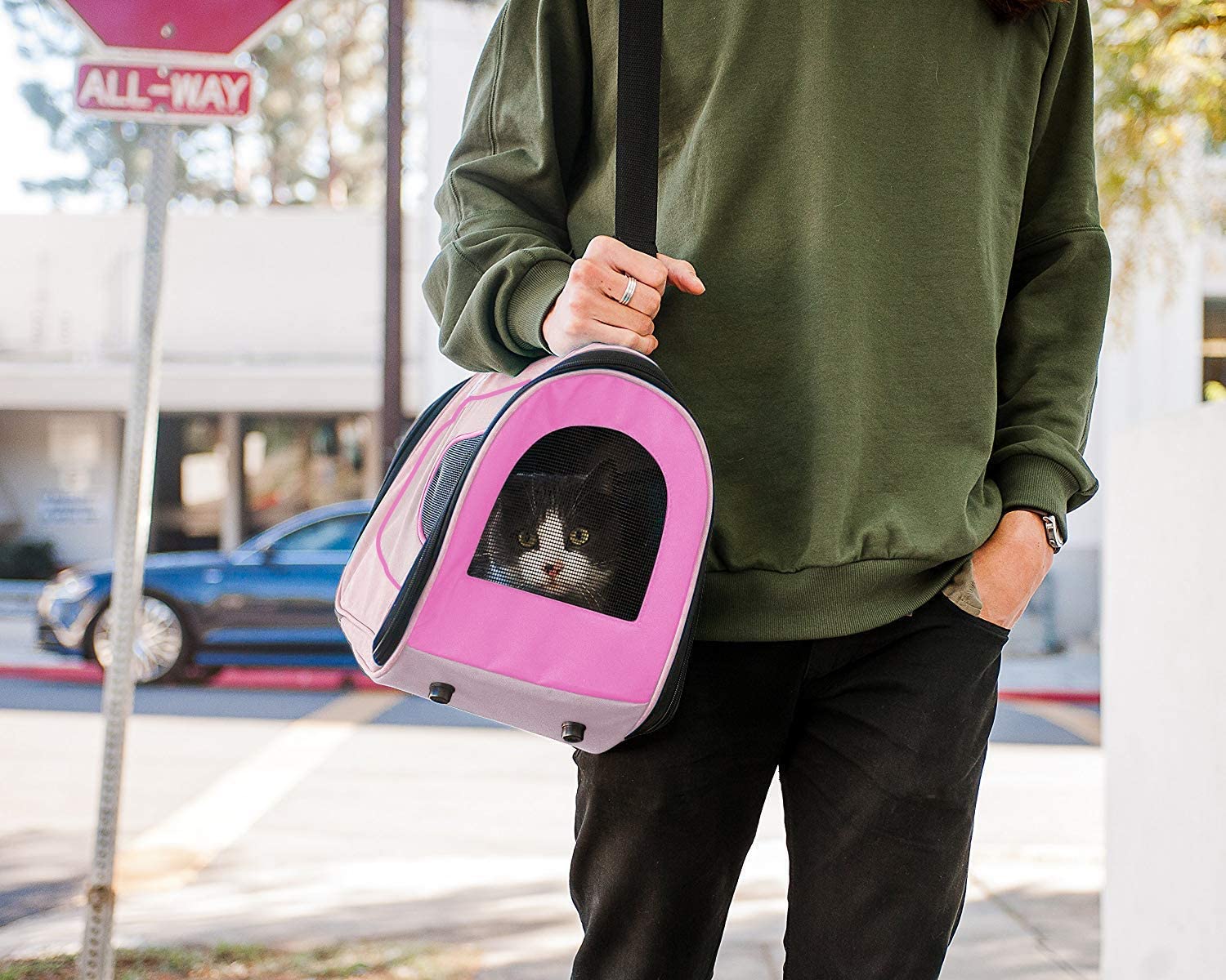  PET MAGASIN Transportín de Mascotas Plegable – Bolsa de Transporte Acolchada con Lados Blandos – Bolso de Viaje para Perros pequeños, Gatos y Cachorros, ventilación Superior (Grande, Pink) 