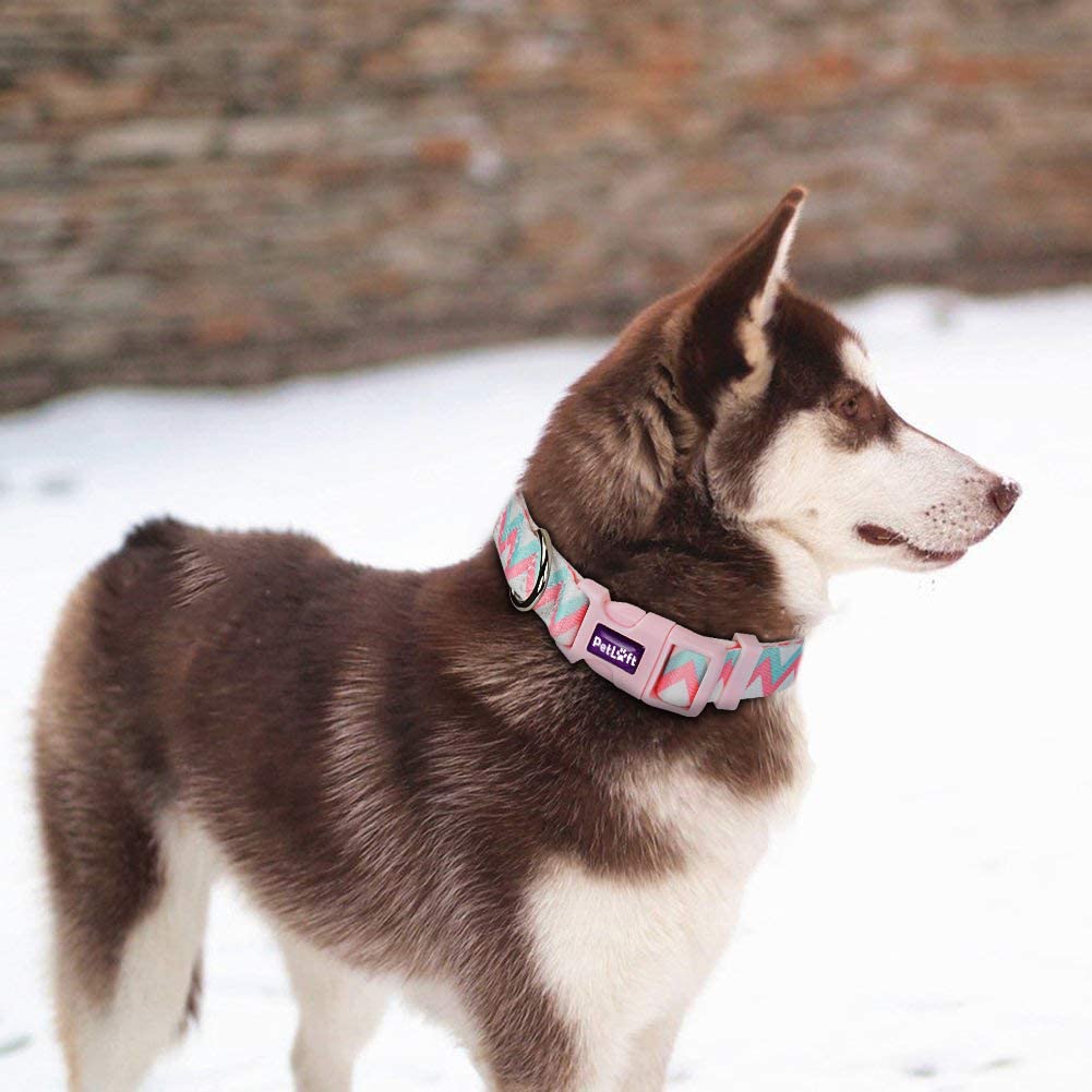  PETLOFT Collar de Perro, Especial Diseñado Tamaño Ajustable de Poliéster Superficie de Collares de Perro con Anilla en D de Metal para Fijación a la Correa (Rosado, M) 