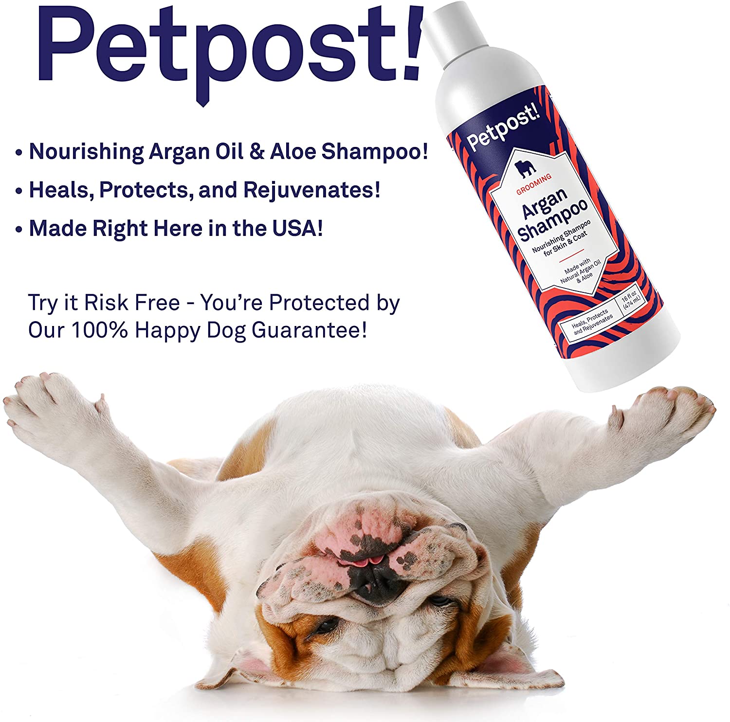  Petpost | Champú De Argan para Perros: Cura, Protege Y Rejuvenece De Forma Natural La Piel Seca Y El Pelaje del Perro: Aceite De Argán Y Fórmula De Aloe (474 ml) 