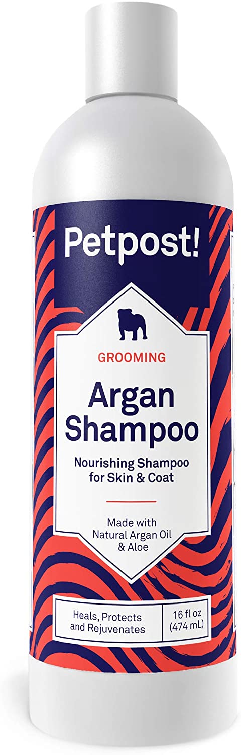  Petpost | Champú De Argan para Perros: Cura, Protege Y Rejuvenece De Forma Natural La Piel Seca Y El Pelaje del Perro: Aceite De Argán Y Fórmula De Aloe (474 ml) 