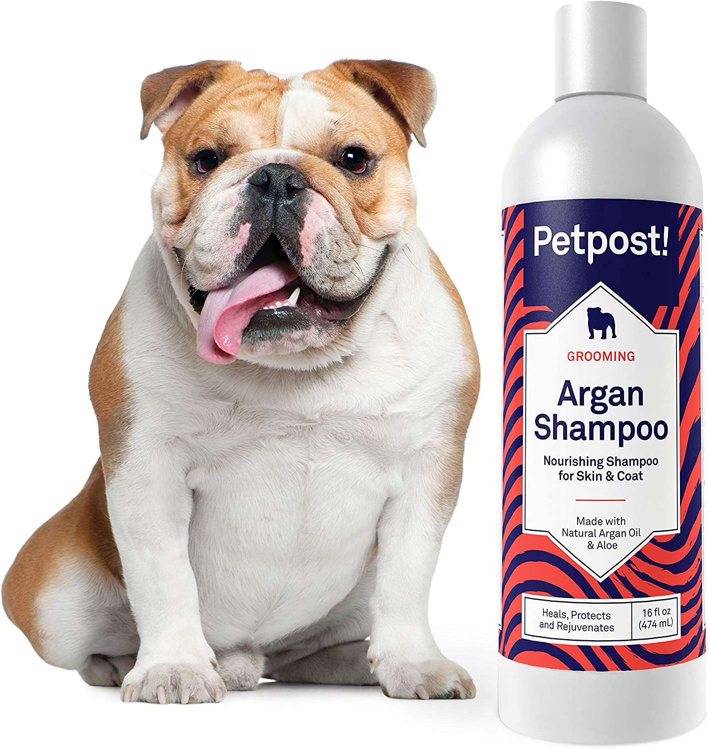  Petpost | Champú De Argan para Perros: Cura, Protege Y Rejuvenece De Forma Natural La Piel Seca Y El Pelaje del Perro: Aceite De Argán Y Fórmula De Aloe (474 ml) 