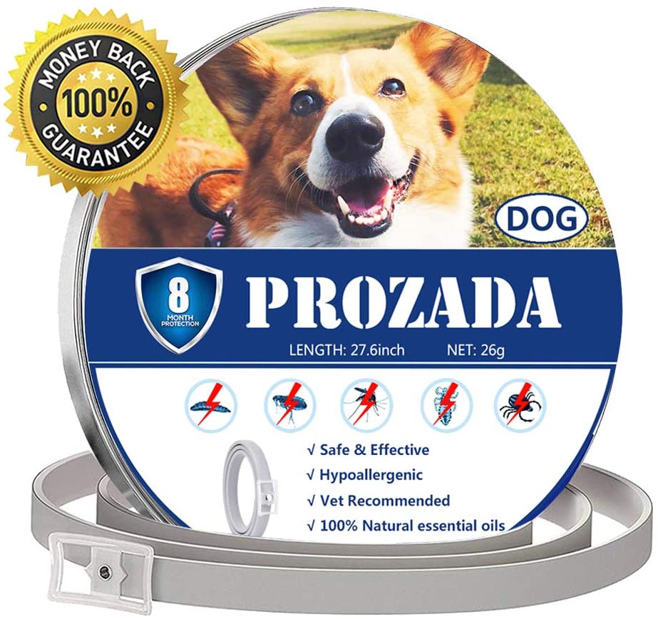  PROZADA Natural Collar Antiparasitario para Perros (8 Meses) Prevención de Pulgas y Garrapatas - con Extractos de Plantas de Aceites Esenciales - Hipoalergénico Talla única para Todos los Perros (1) 