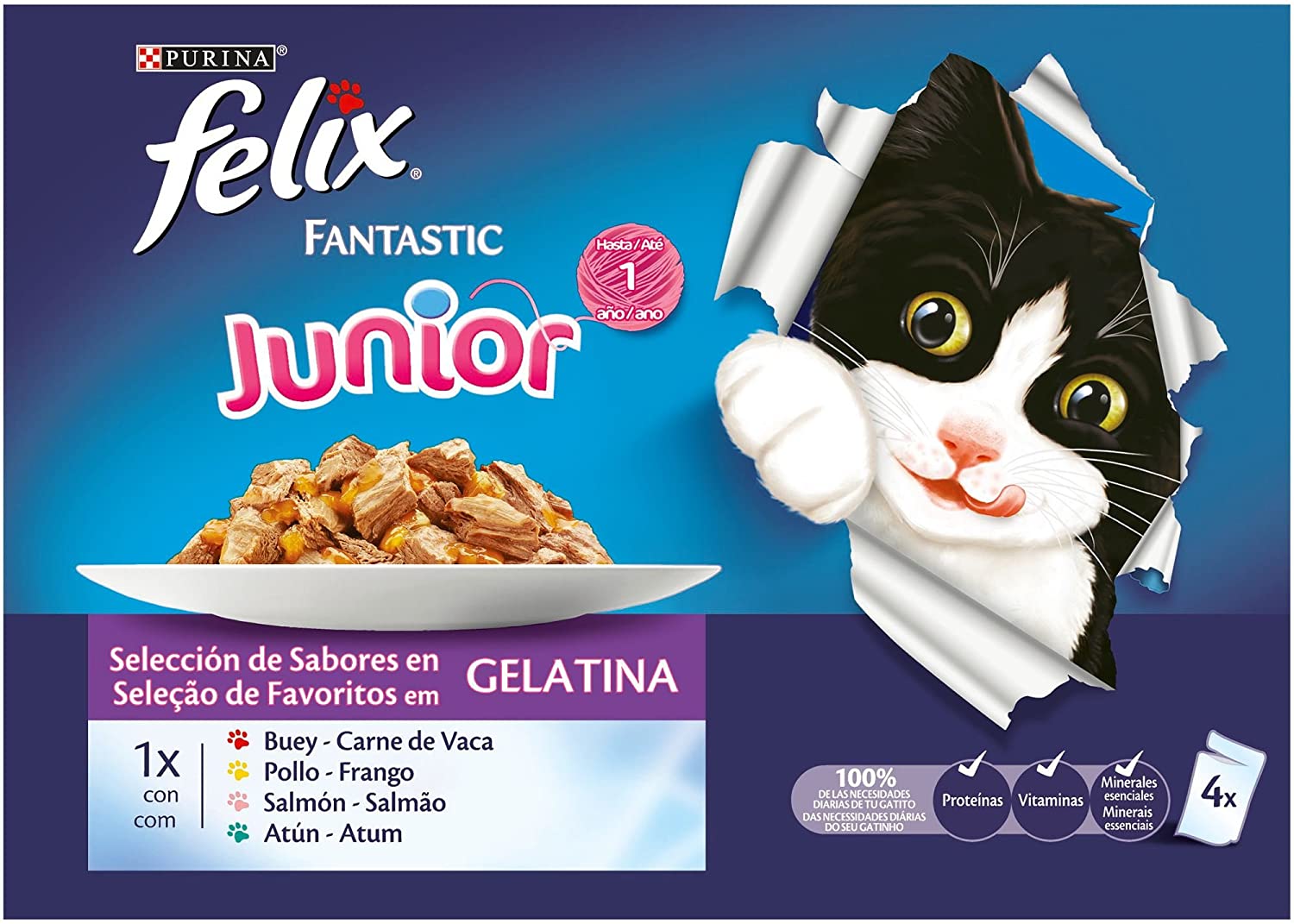  Purina Felix Fantastic comida para gato Junior Selecciones Favoritas 10 x [4 x 100 g] 