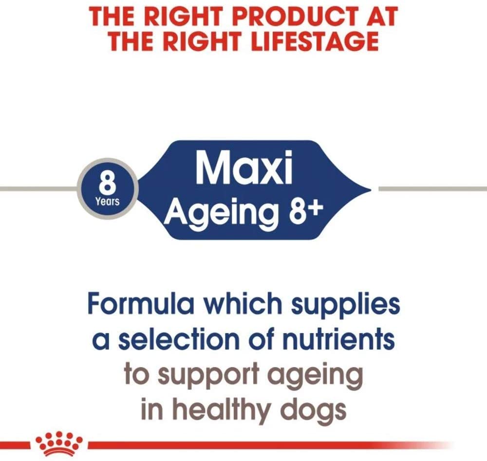  ROYAL CANIN Comida húmeda Maxi Ageing 8+ Trozos de Carne en Salsa para Perros Senior de Razas Grandes - Caja 10 x 140 gr (Bolsitas) 