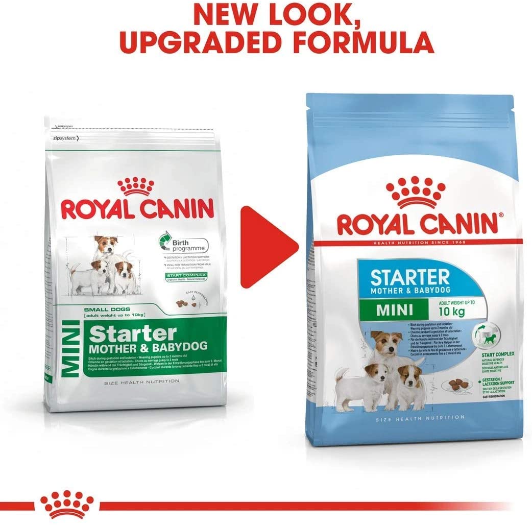  ROYAL CANIN Mother and Babydog Mini Starter - Comida para perros raza pequeña 