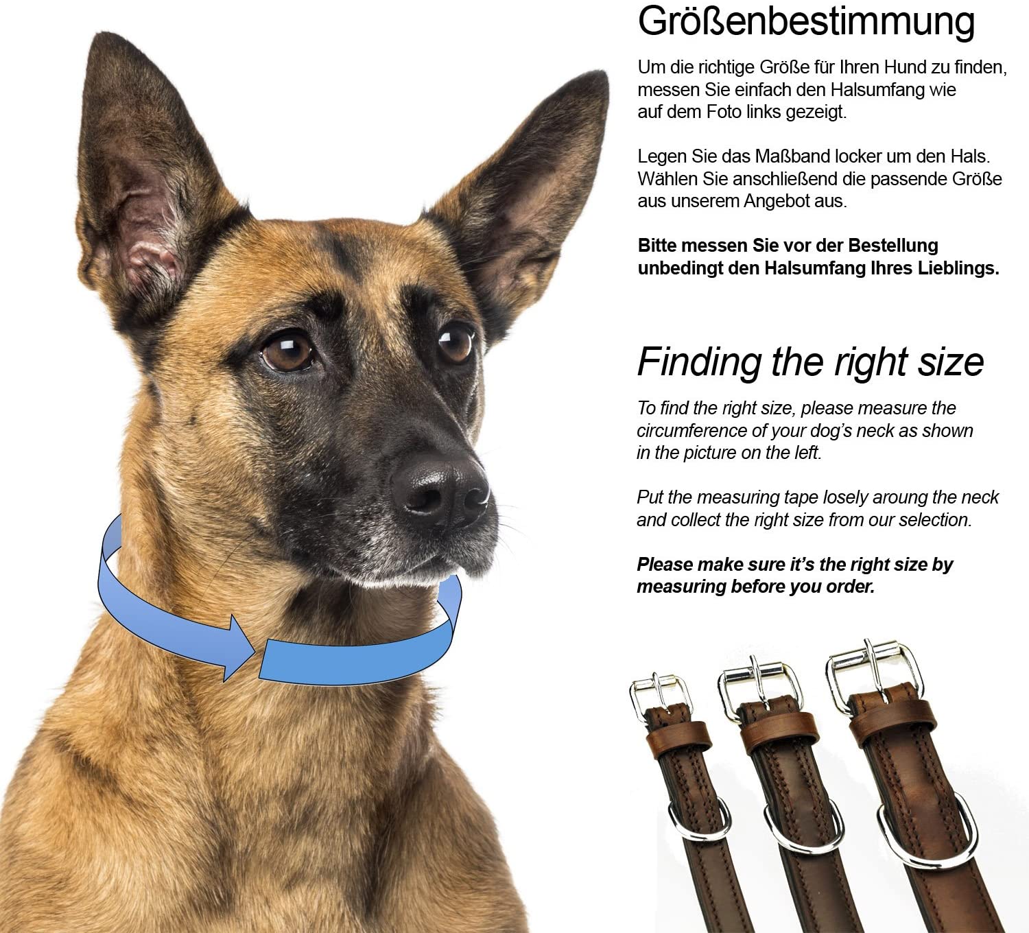  Schnüffelfreunde Collar de Perro de Cuero (L - 36-45cm, Marrón) 