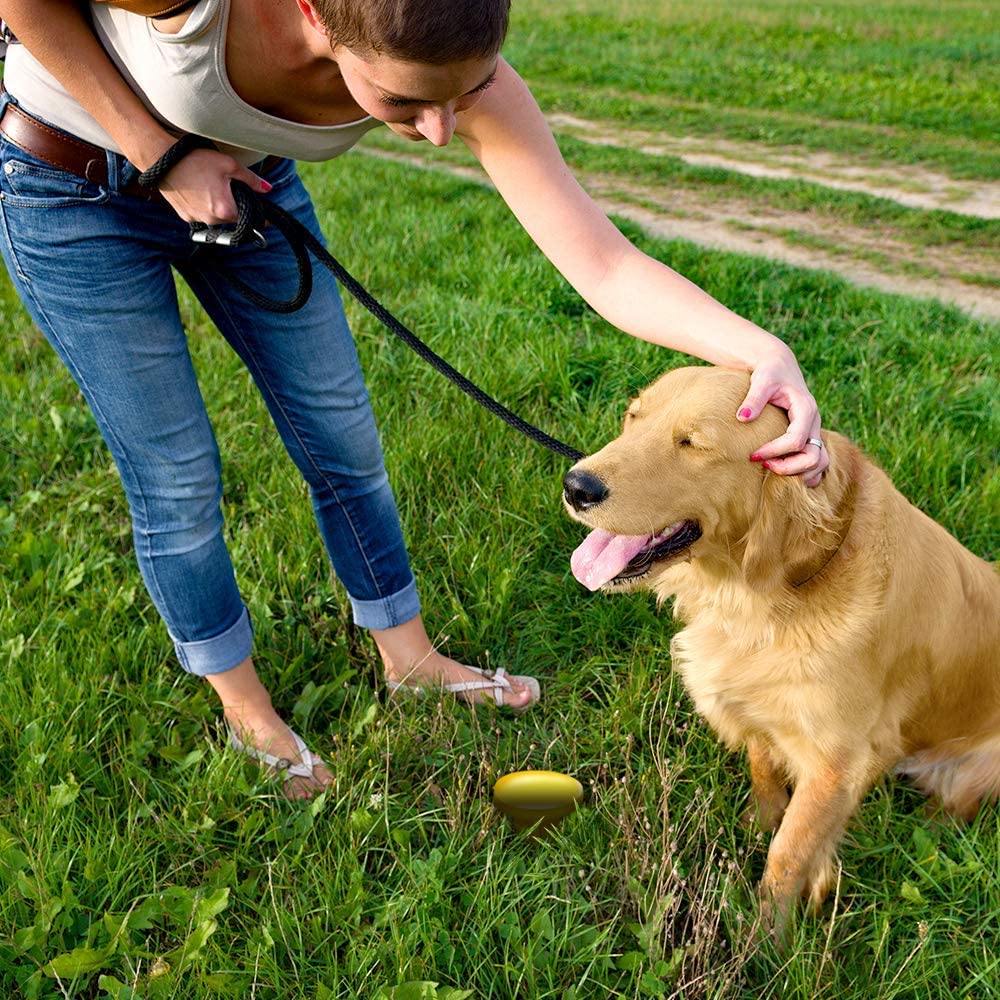  Simple Solution - Poste de orina para Perros 