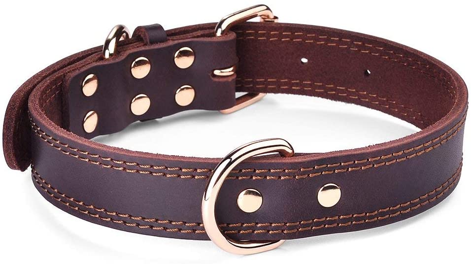  SLZZ Collar de Perro de Piel Personalizado Premium con Placa identificativa grabada, Suave al Tacto, Resistente Piel auténtica/Ajustable, Perros pequeños, medianos y Grandes 