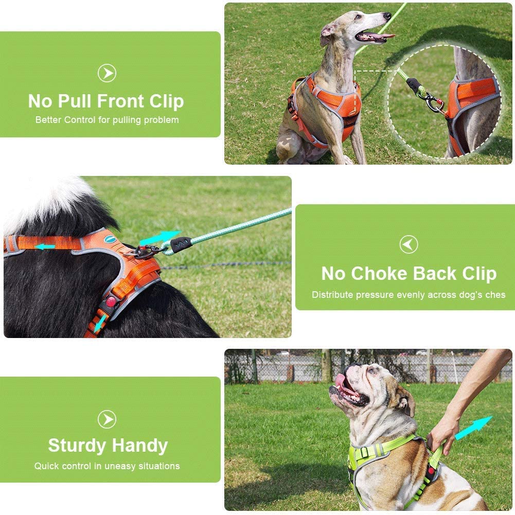  ThinkPet Arnés Deportivo para Perros sin tirones y Transpirable: Chaleco Ajustable de Seguridad Acolchado Reflectante, para Exteriores y Entrenamiento Perros pequeños medianos Grandes 