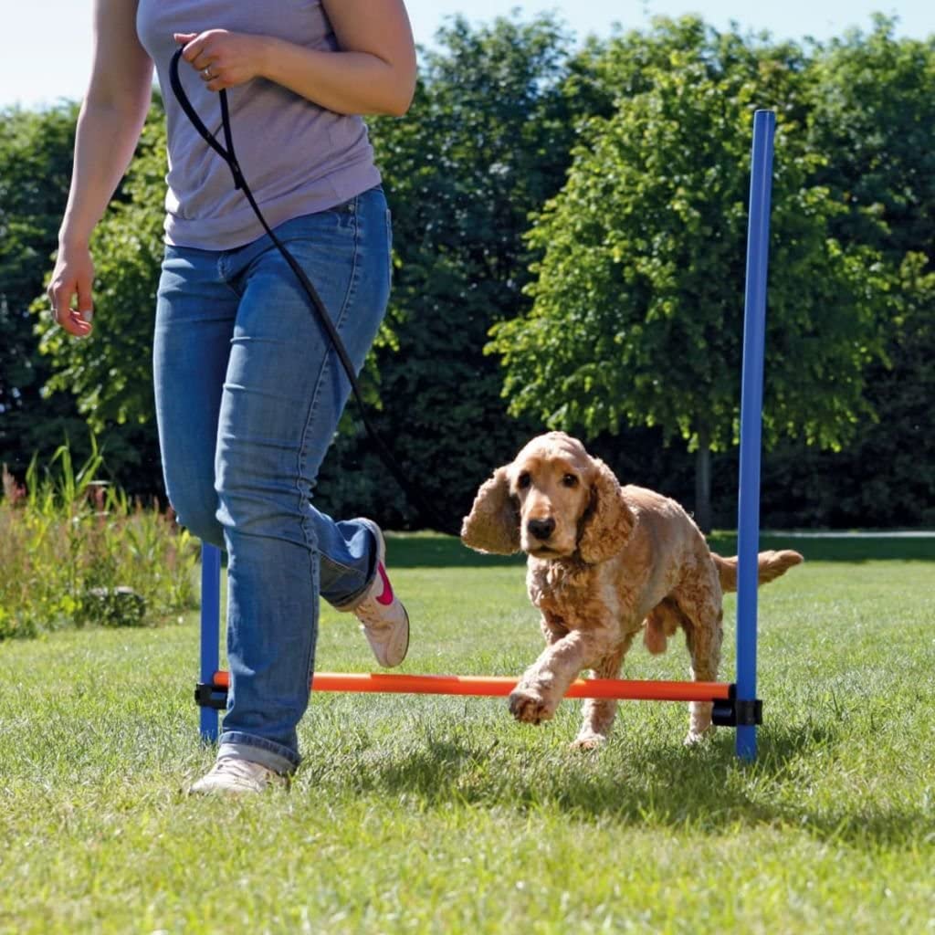  Trixie 3207 Vallas Agility, Regulable,129 x 115 cm, Azul y Naranja 