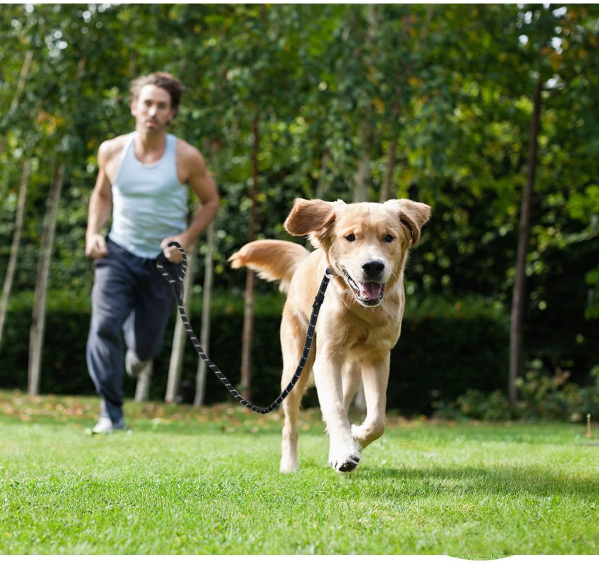  UEETEK Collar Antideslizante Cuello de Estrangulación P-Correa Reflexivo Durable Entrenamiento Cuerda Esponja Control de la Manija para Correr Pasear Senderismo 