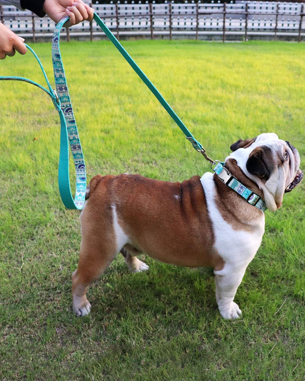  Vcalabashor Collar de Perro Personalizado, Placa de Acero Inoxidable grabada con Nombre y Número de Teléfono del Perro,Turquesa Pequeño 