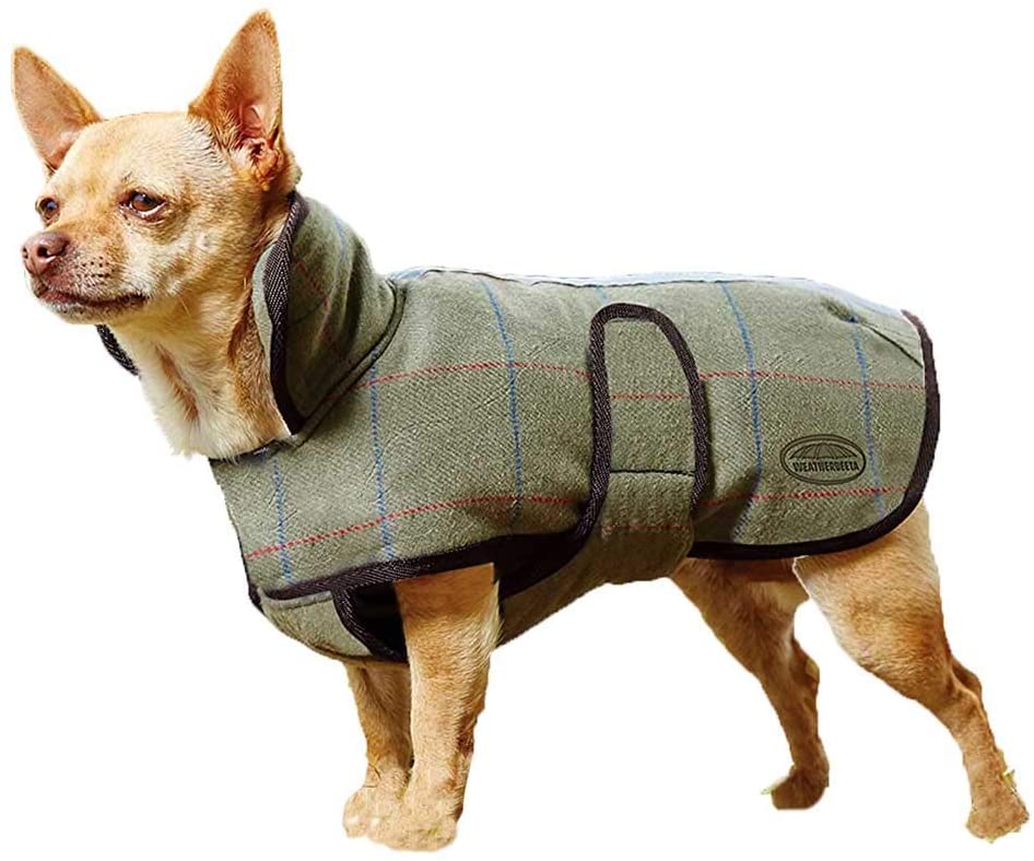  Weatherbeeta - Abrigo de tweed para perros 