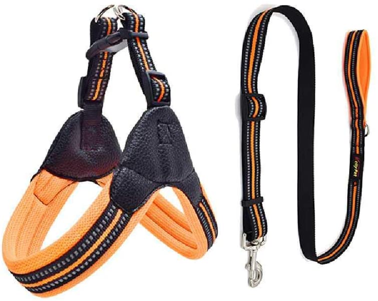  XCRIYX Correa De Gato del Perro Ajustable del Chaleco del Cinturón De Remolque para Los Perros Grandes De Tamaño Mediano Pequeño S/Set - Naranja 